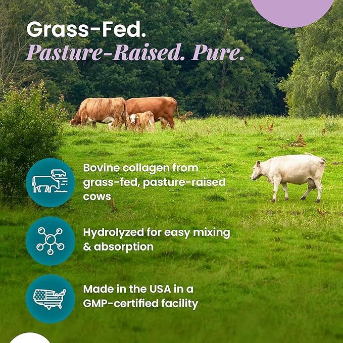 Organic Excellence Collagen Peptides Grass-Fed Bovine Unflavored Collagen Powder Type I &amp III Hydrolyzed Collagen Support Skin Joints Gut Hair Nails Non-GMO 12g Protein/Serving 16 oz (453