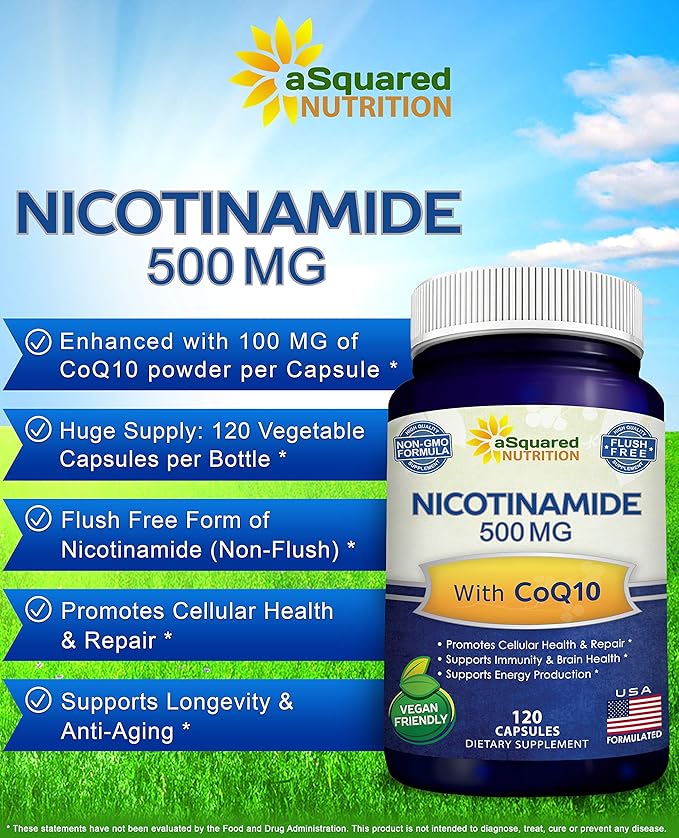 Nicotinamide with CoQ10 (120 Capsules) - Vitamin B3 500mg (Niacinamide Flush Free) - Coenzyme Q10 Powder - VIT B-3 &amp Coq 10 Supplement Pills to Support Energy NAD &amp Skin Cell Health