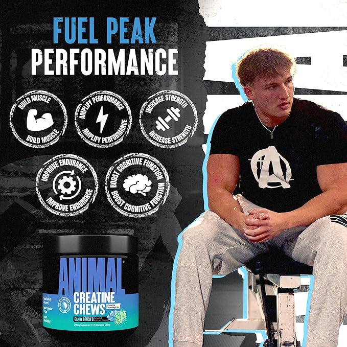 Animal Creatine Chews – Enhanced Creatine Monohydrate Chewable Tablets with AstraGin &amp Sea Salt Max Absorption Pre Post-Workout Lean Muscle Growth Strength &amp Recovery New Flavor Candy Crus