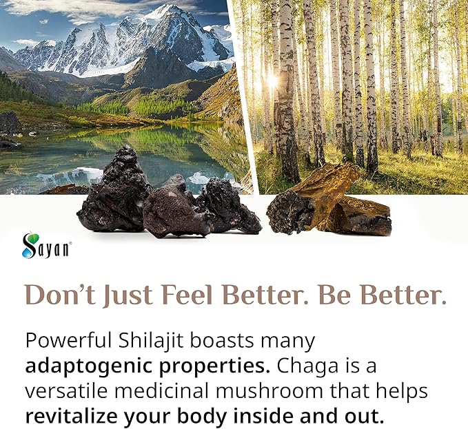 Sayan Siberian Chaga Mushroom Extract with Shilajit 90 Capsules/420mg ea.– Immune and Digestion System Support – Fulvic Acid Supplement – Energy &amp Clarity – Exclusive Blend – No Fillers