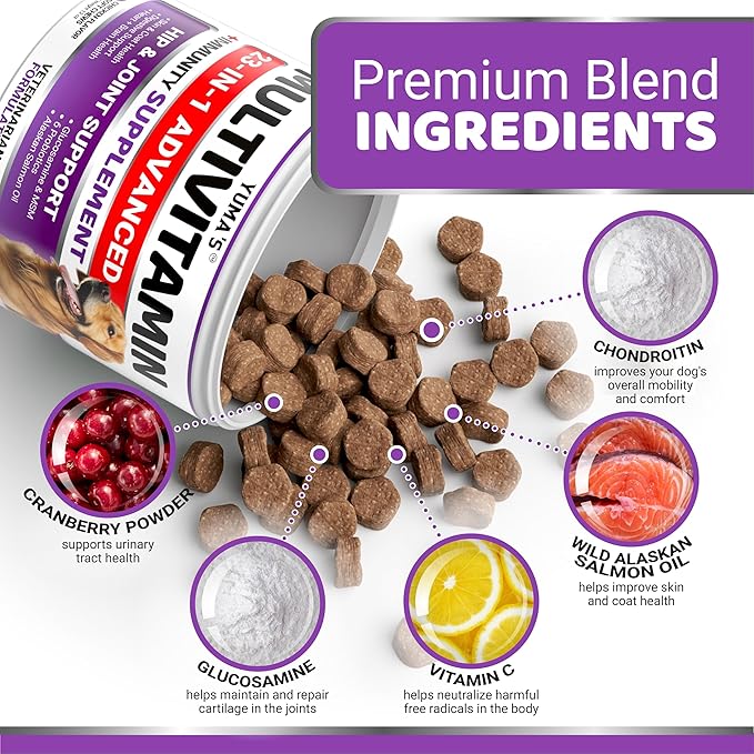 2-Pack Dog Multivitamin Chewable with Glucosamine - Dog Vitamins and Supplements - Senior &amp Puppy Multivitamin for Dogs - Hip &amp Joint Support - Immune Health Skin Heart Digestion Probiotic