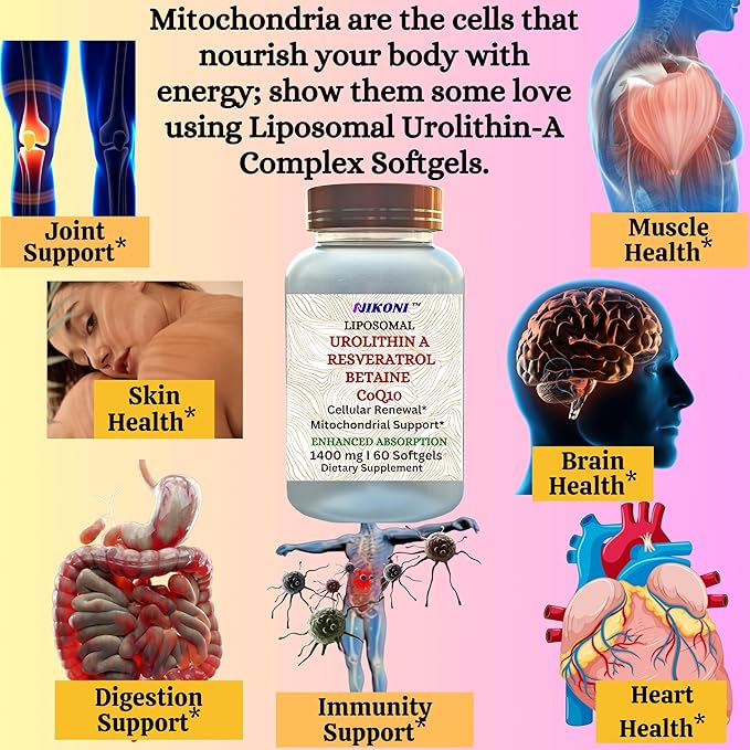 Nikoni Liposomal Urolithin-A Supplement 1400mg Supports Healthy Aging Cellular Renewal &amp Muscle Health- 120 Softgels