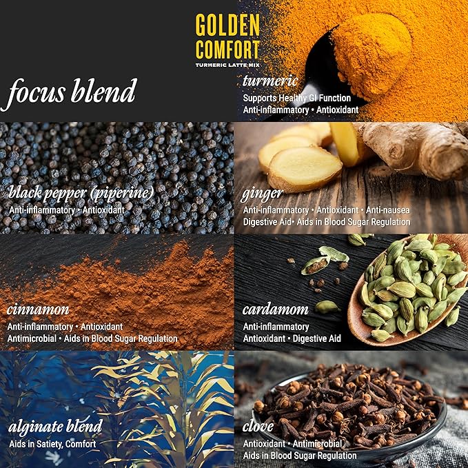 REFLUX GOURMET Golden Comfort Focus Blend–Natural Reflux Relief &amp Cognitive Boost–Turmeric Latte with Lion’s Mane Turkey Tail Red Reishi Chaga and Cordyceps–Max Absorption Curcuminoids–14 ct