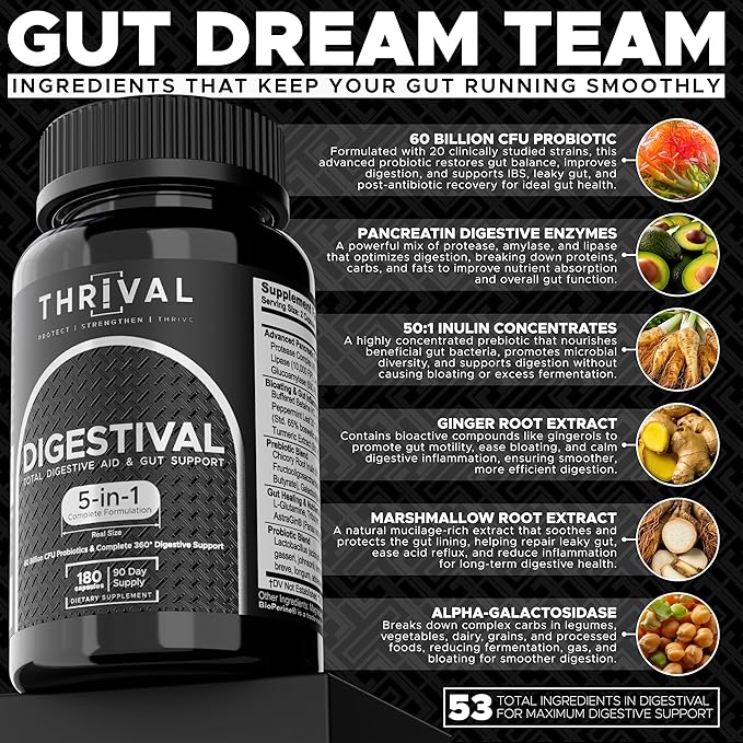 DIGESTIVAL 5-in-1 Gut Health Formula: Probiotics Prebiotics Enzymes Gut Healing &amp Bloat Relief with 53 Ingredients 60 Billion CFU and Advanced Support for IBS Leaky Gut and Digestive Wellne