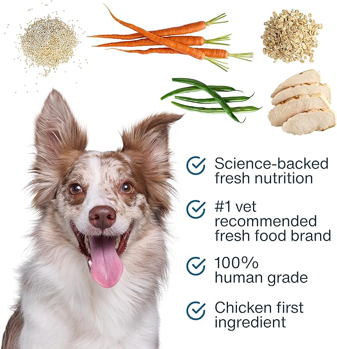 JustFoodForDogs JustFresh Boost Sensitive Skin Dog Food Topper for Immune Support and Healthy Coat Human-Grade Fresh Pet Meal Booster 8 oz Pouches - 8 Pack
