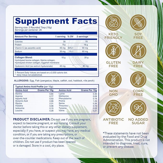 Earth Echo Multi Collagen Peptides Powder - Unflavored Hydrolyzed Collagen with Vitamin C &amp Hyaluronic Acid for Skin Joints Gut &amp Immunity - Non-GMO Dairy-Free Keto-Friendly - 26 Servings