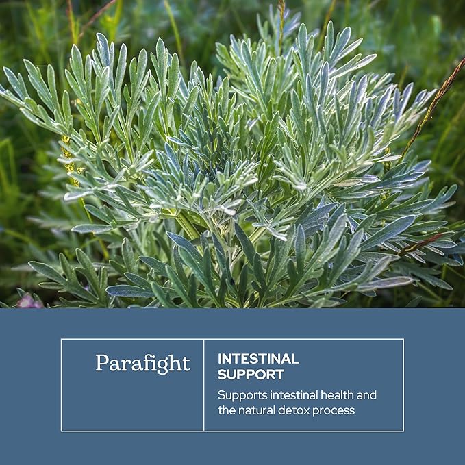 Eclectic Herb - ParaFight Capsules | Intestinal Support + Detox | Non-GMO Vegan Gluten Free (45 CT | 350 mg)