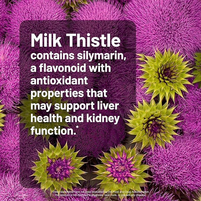 NatureWise [1] Milk Thistle + Dandelion Root - Vegan Non-GMO 60 Capsules[60-Day Supply] + (Pack of 2) Turmeric Curcumin 500mg + Bioperine Black Pepper - 30 Softgels[30-Day Supply]